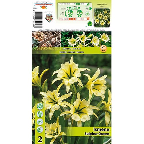 Ismene Sulphur Queen artikel fotografia 1 Ismene Sulphur Queen obrázok 1 artikel 77829