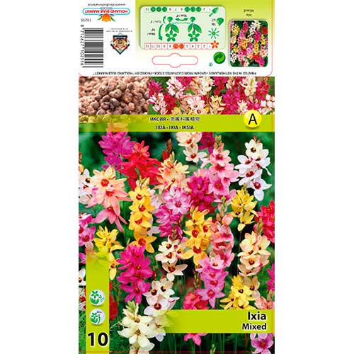 Ixia Mixed obrázok 1 artikel 76295