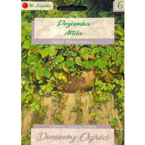 Jahoda lesná Attila obrázok 1 artikel 69663