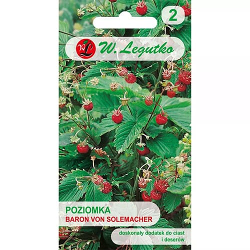 Jahoda lesná Baron von Solemacher obrázok 1 artikel 69529