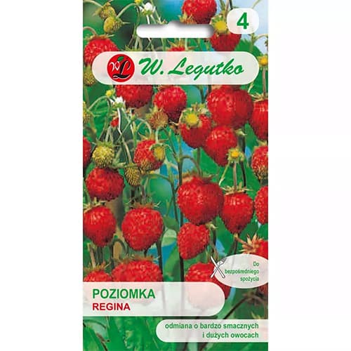 Jahoda lesná Regina obrázok 1 artikel 86894