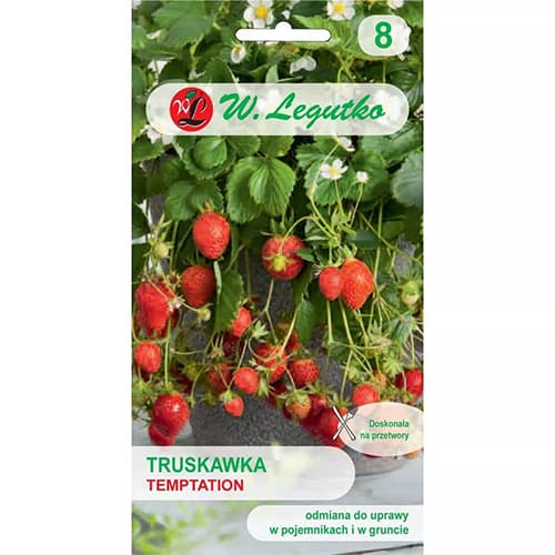 Jahoda Temptation obrázok 1 artikel 69548