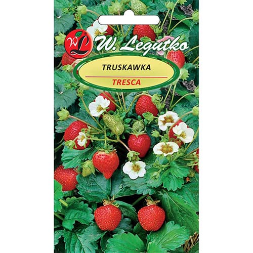 Jahoda Tresca obrázok 1 artikel 86914