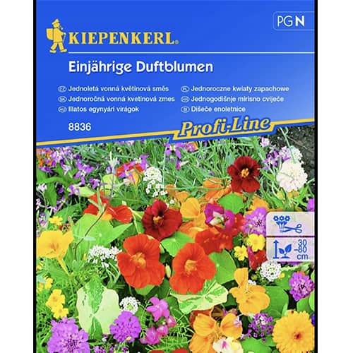 Jednoročné voňavé kvety, zmes farieb obrázok 1 artikel 96528