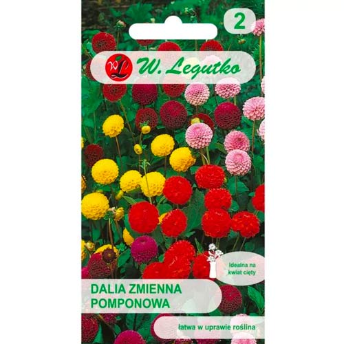 Jiřina pestrá pomponská, zmes obrázok 1 artikel 50091