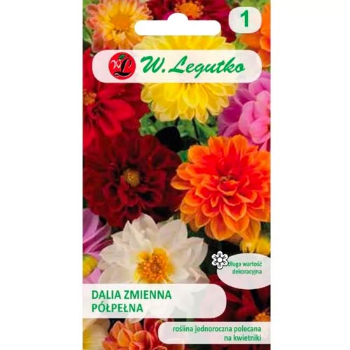 Jiřina pestrá trpasličí Unwins, zmes obrázok 1 artikel 78549