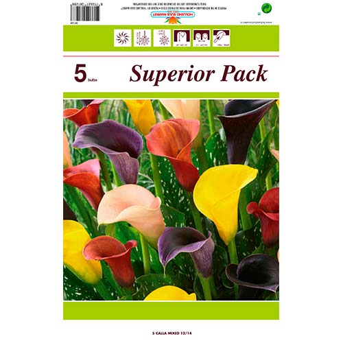 Kala Mixed obrázok 1 artikel 76396