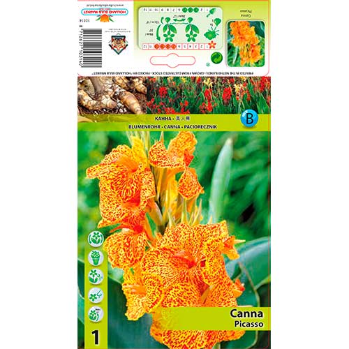 Kana Picasso artikel fotografia 1 Kana Picasso obrázok 1 artikel 76198