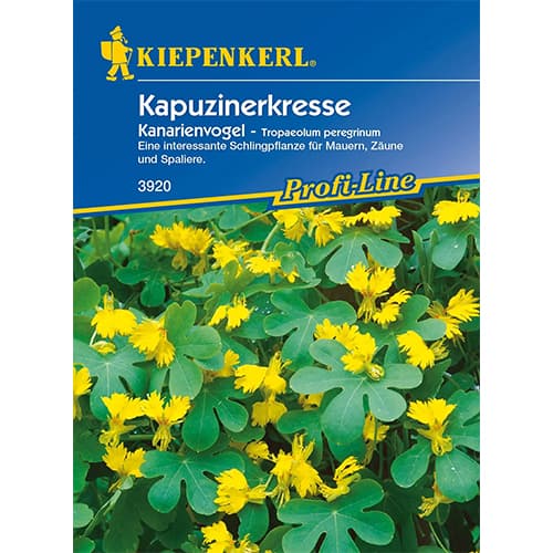 Kapucínka kanárska žltá obrázok 1 artikel 86274