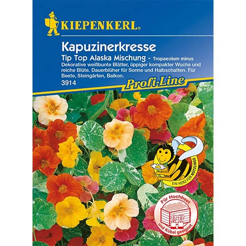 Kapucínka menšia Tip-Top Alaska obrázok 1 artikel 86278