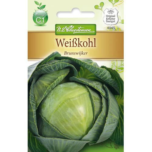 Kapusta biela Brunswijker obrázok 1 artikel 78725