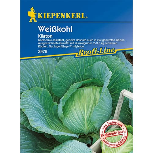 Kapusta biela Kilaton F1 artikel fotografia 1 Kapusta biela Kilaton F1 obrázok 1 artikel 86555