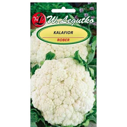 Kapusta obyčajná karfiolová Rober obrázok 1 artikel 86870