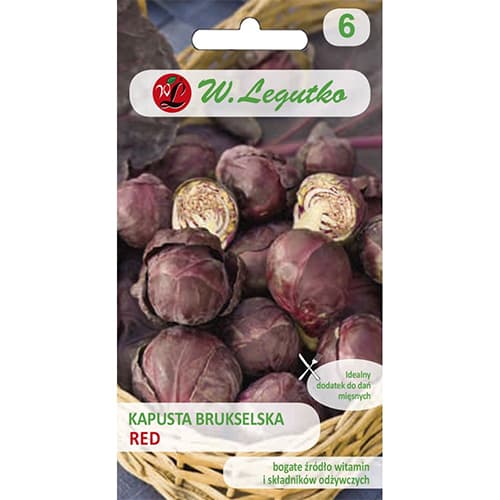 Kapusta obyčajná ružičková Red obrázok 1 artikel 69479