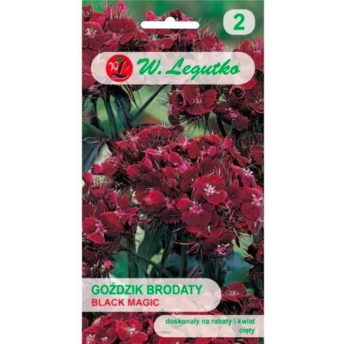 Karafiát fúzatý Black Magic obrázok 1 artikel 69590