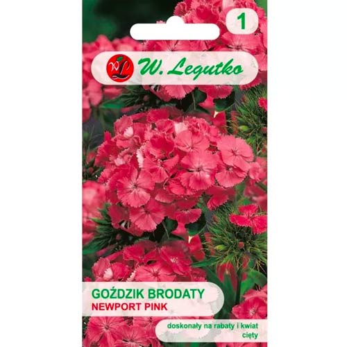 Karafiát fúzatý Newport Pink obrázok 1 artikel 78602