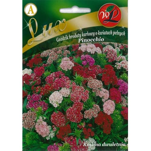 Karafiát fúzatý trpasličí Pinocchio, zmes obrázok 1 artikel 86762