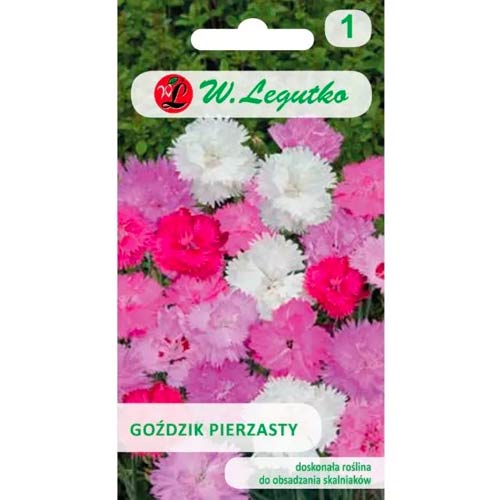 Karafiát operený, zmes obrázok 1 artikel 50102