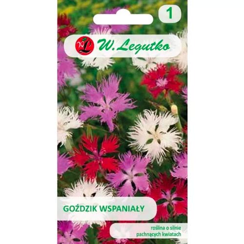 Karafiát vynikajúci, zmes obrázok 1 artikel 50103