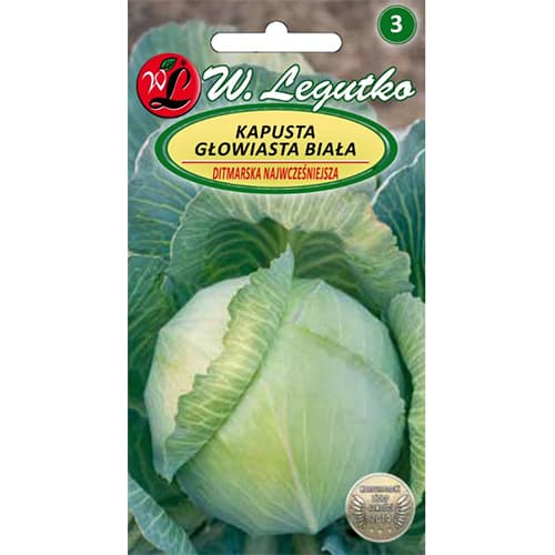 Kel hlávkový biely Ditmarska Najskoršia obrázok 1 artikel 78473