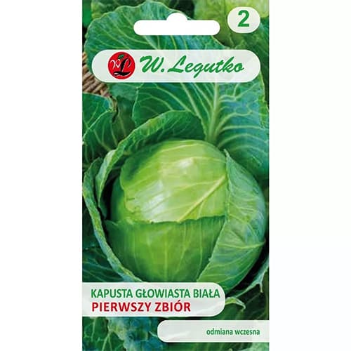 Kel hlávkový biely Prvý zber obrázok 1 artikel 69482