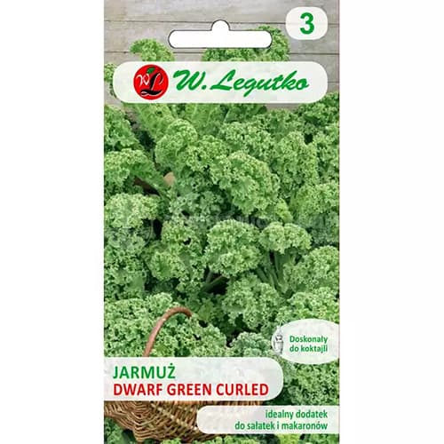 Kel kučeravý nízky Dwarf Green Curled obrázok 1 artikel 69474