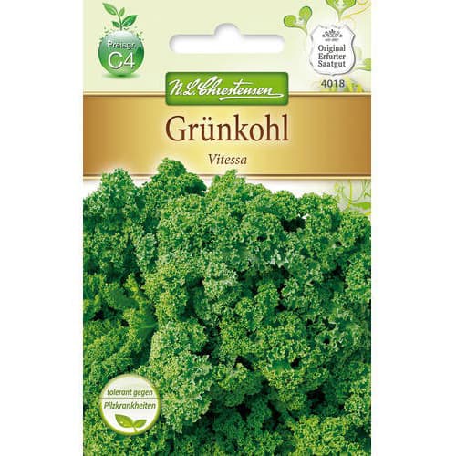 Kel kučeravý Vitessa obrázok 1 artikel 78717