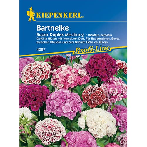 Klinček bradatý Duplika obrázok 1 artikel 86250