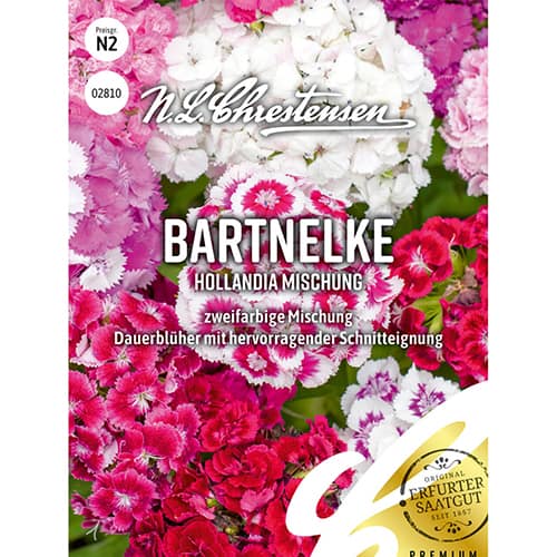 Klinček turecký Hollandia, zmes obrázok 1 artikel 86123