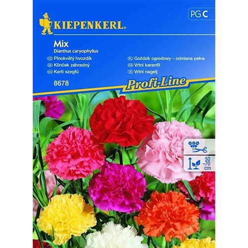 Klinček záhradný, zmes farieb obrázok 1 artikel 96527