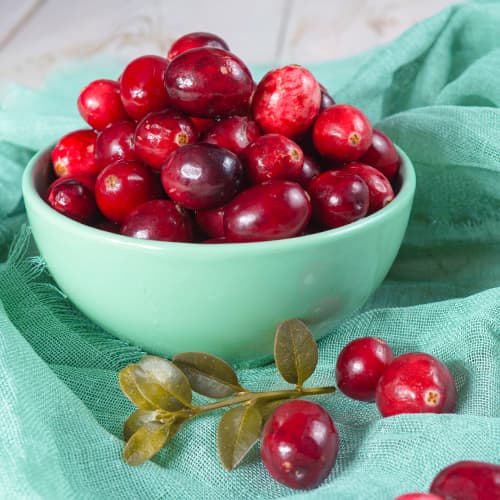 Kľukva veľkoplodá Piligrim, P9 obrázok 1 artikel 9311