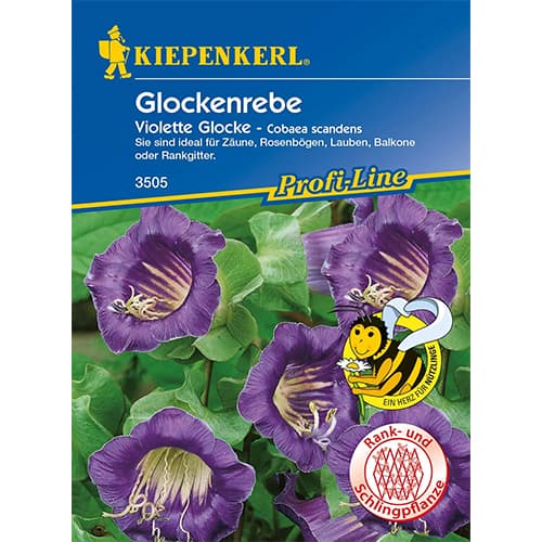 Kobea ťahavá Violett obrázok 1 artikel 86266