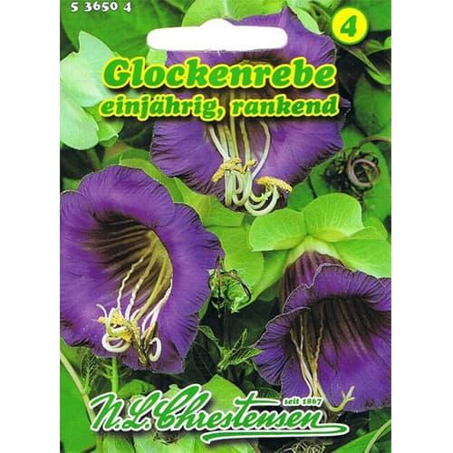 Kobea ťahavá obrázok 1 artikel 78982