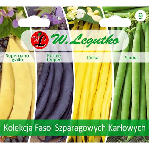 Kolekcia fazule šarlatovej trpasličiej, 4 odrody artikel fotografia 1 Kolekcia fazule šarlatovej trpasličiej, 4 odrody obrázok 1 artikel 96838