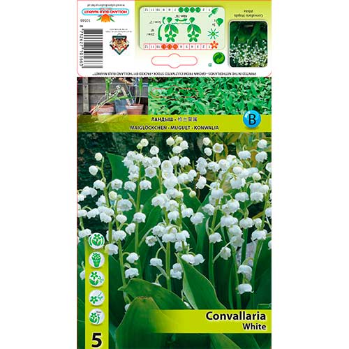 Konvalinka White artikel fotografia 1 Konvalinka White obrázok 1 artikel 76202