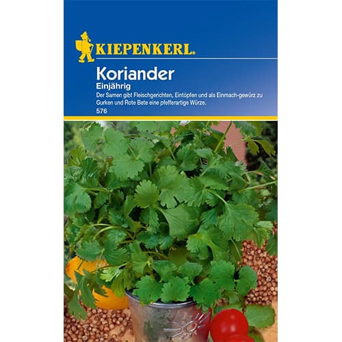 Koriander siaty obrázok 1 artikel 77463