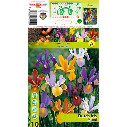 Kosatec holandský Mixed obrázok 1 artikel 76229