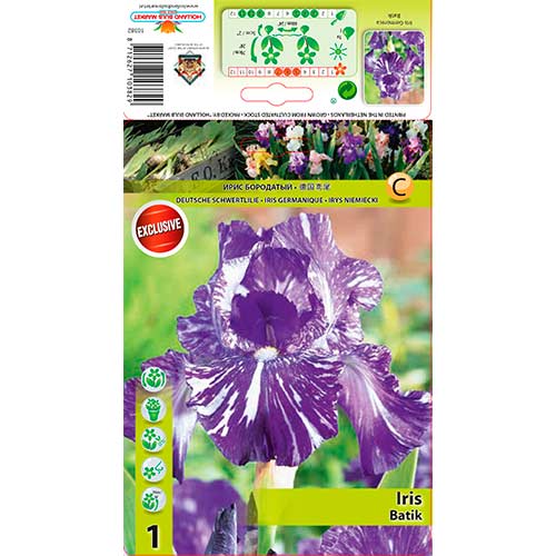 Kosatec nemecký Batik obrázok 1 artikel 76282