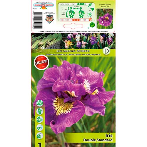 Kosatec sibírsky Double Standard obrázok 1 artikel 76287