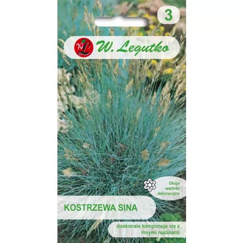 Kostrava striebristo modrá obrázok 1 artikel 78568