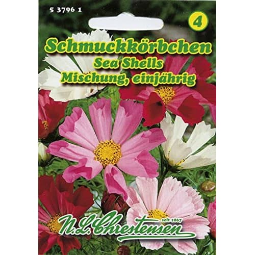 Krasuľka perovitá Sea Shells, zmes obrázok 1 artikel 87805