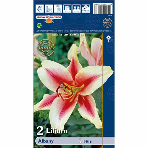 Ľalia Albany obrázok 1 artikel 70232