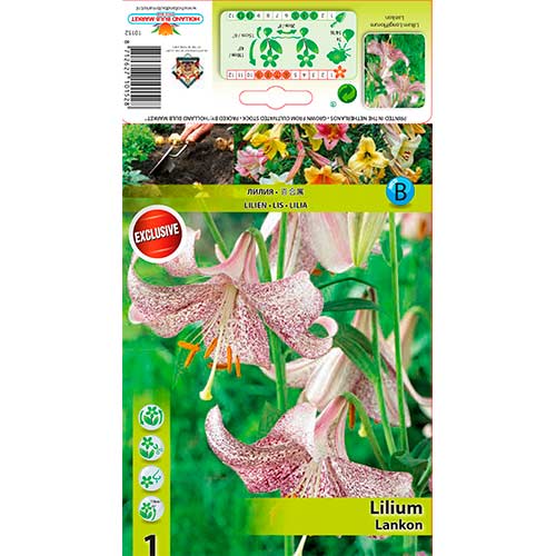 Ľalia Lankon obrázok 1 artikel 76312