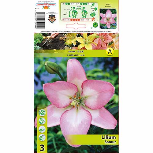 Ľalia Samur obrázok 1 artikel 70274