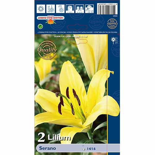 Ľalia Serano obrázok 1 artikel 70233