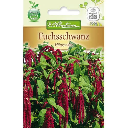 Láskavec (Amaranthus), červený obrázok 1 artikel 78887