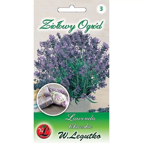 Levanduľa lekárska obrázok 1 artikel 69675