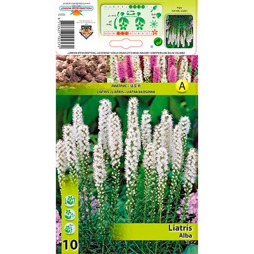 Liatra Spicata Alba obrázok 1 artikel 76301
