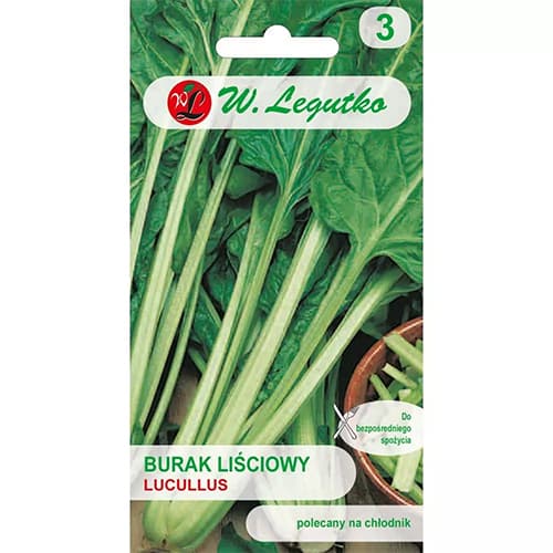 Listová cvikla Lucullus artikel fotografia 1 Listová cvikla Lucullus obrázok 1 artikel 69453