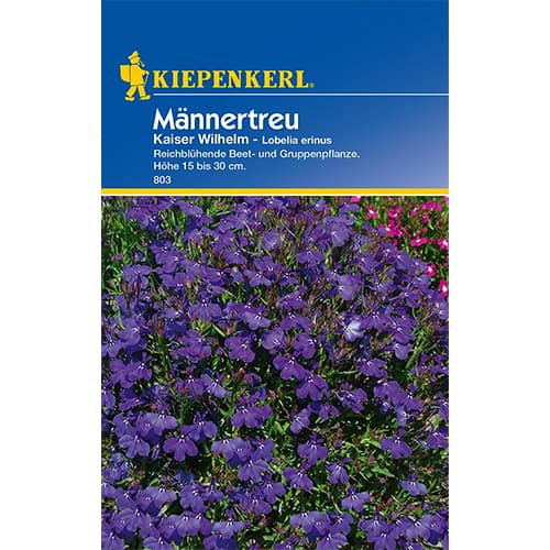 Lobélia Kaiser Wilhelm obrázok 1 artikel 77421